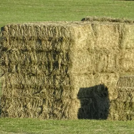 Heufelder Hof فندق *