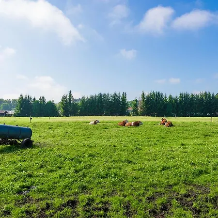 Heufelder Hof ホテル Bruckmühl