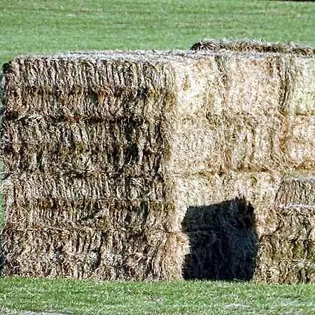 Heufelder Hof *